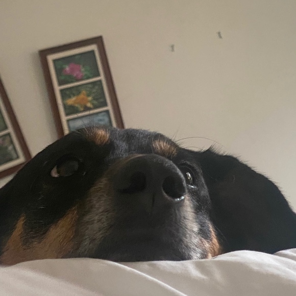 katietip1